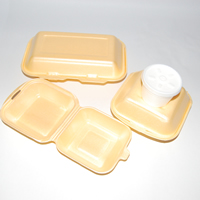 Polystyrene Food Packaging & Pots