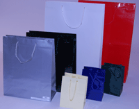 Luxury Rope Handled Gloss Paper Carrier Bags