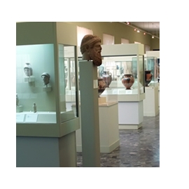 Perspex Museum Display Cases