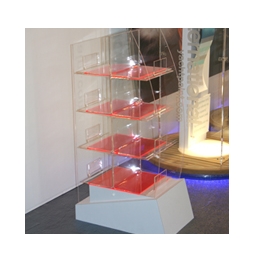 Plastic Museum Case Displays