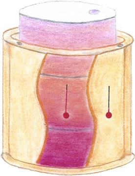 THERMOSAFE Induction Heater