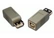 USB Adapter - Series A Female to Series B Female