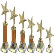 Gold Star Awards