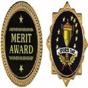 Pin Badge Merit Awards