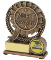 School Merit Awards