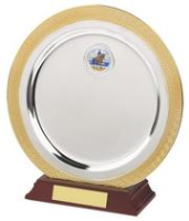 Silver Salver Awards