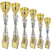 Sports Day Trophies