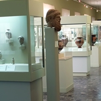 plastic and perspex museum display cases