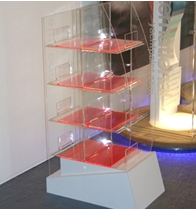 plastic and perspex display cases 