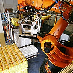 Robotic Palletising Systems - The KUKA AGILUS Series