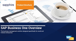 SAP Business One Business Management System