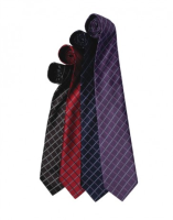Neck Tie with Line Check