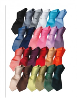 Colours Fashion Neck Tie
