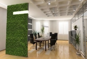 Green Moss Acoustic Walling Solutions