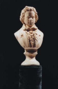 Xtra-Sense Display Alarm