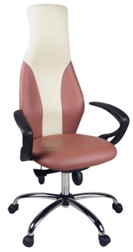 Physio Office Chair