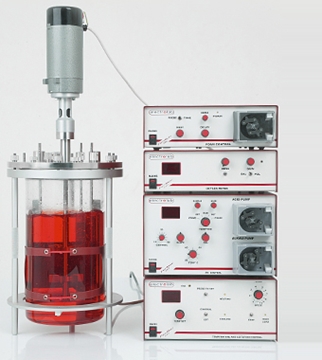 FerMac 200 Bioreactor Fermenter