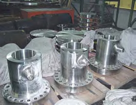 Nuclear Power Plants Flanges