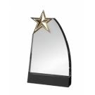 Silver star award