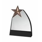 Bronze star award