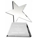 Vision Star Optical Crystal award