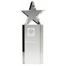 Tower Star Award 