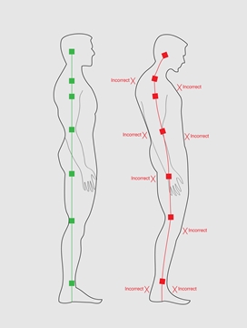 Why educating staff in good posture techniques is so important?