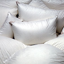 Pure Goose Down Pillows