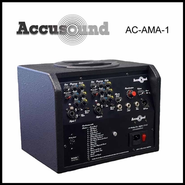 Accusound 2 Channel Acoustic Amplifier