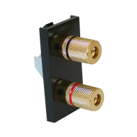 Speaker Module with 2 Gold Posts in Black