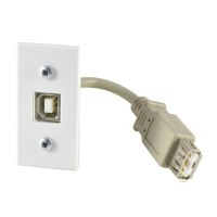 USB-B Module with Tail in White