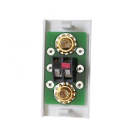 Speaker Module 2 Gold Posts White