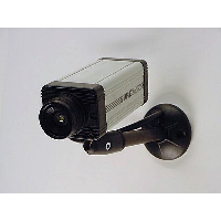 Decoy CCTV Cameras