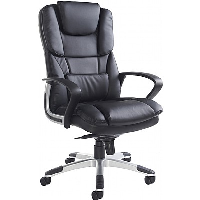 Palermo Executive Leather Faced Chair - 24 Hrs Delivery