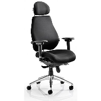 Posture Chair - Chiropractor Approved - Free Next Day Delivery