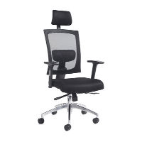 Gemini 300 Mesh Chair - 24 Hrs Delivery