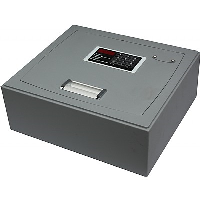 Electronic Free-Standing Safe With Gas Strut