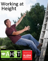 Work at Height and Ladder Safety Online Health and Safety Training Course - Approved by RoSPA - ?20.00