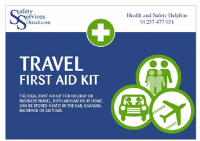 Individual Travel First Aid Kit - CLEARANCE - 1 Available