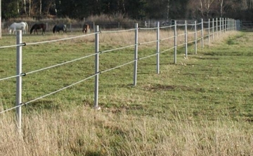 The Fence Posts
