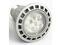 E27 / PAR 20 LED Spotlights