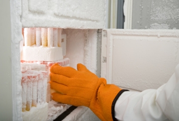 Low Temperature and Cryostorage Labels