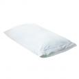 Corovin Antimicrobial Pillow Protector. (2)