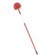 Domed Cobweb Broom with Extending Handle