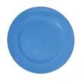 Blue Polycarbonate Dinner Plate 9.5". (1)