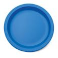 Blue Polycarb Narrow Rimmed Plate 9". (12)