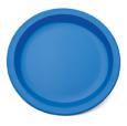 Blue Polycarb Antibacterial Plate 9". (12)