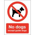 No Dogs Except Guide Dogs Sign.