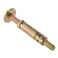 Masonry Anchor Bolt Zinc Yellow Passivated M10x25mm. (10)