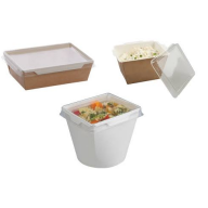 Clear Lid Food Boxes
